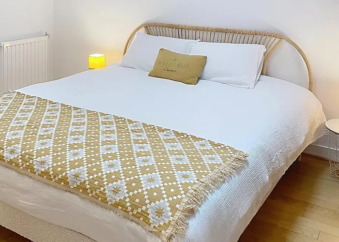 Le Bon'appart Au Coeur De Saumur